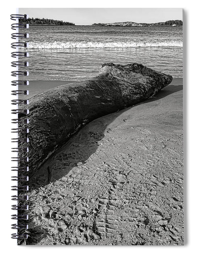 Popham Spiral Notebook featuring the photograph Stranded Beast on Popham Beach by Olivier Le Queinec