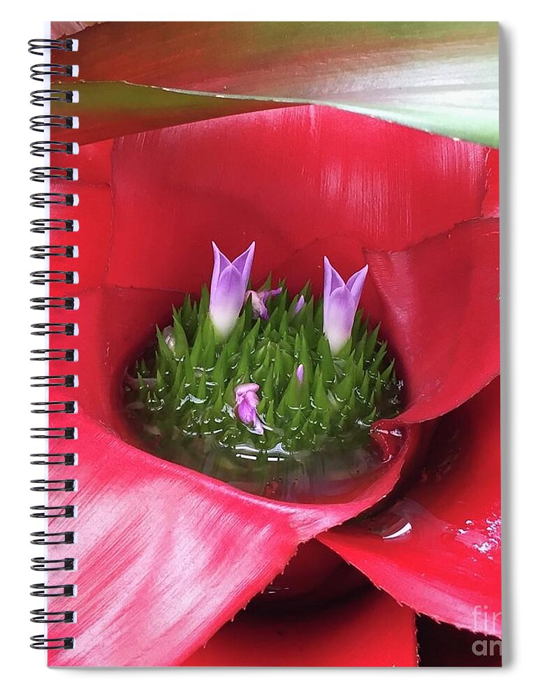 Succulents Spiral Notebook featuring the photograph Strange Bloom by Wendy Golden