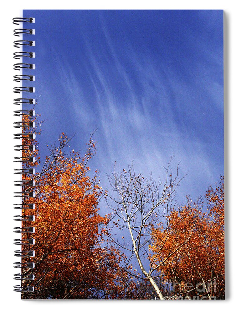 Canada Spiral Notebook featuring the photograph Streaks of Autumn by Mary Mikawoz
