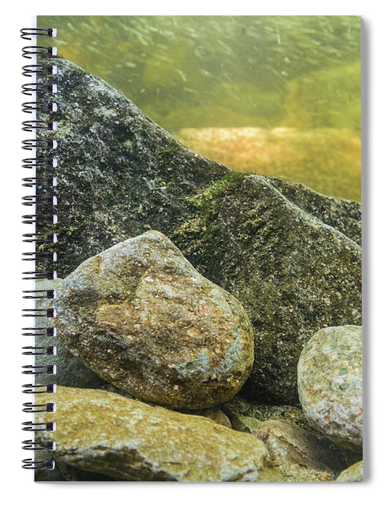 Blue Ridge Mountains Spiral Notebook featuring the photograph Stream Bottom by Melissa Southern