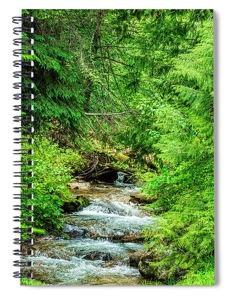 Stream Spiral Notebook featuring the photograph Stream Of Ferns by Pamela Dunn-Parrish