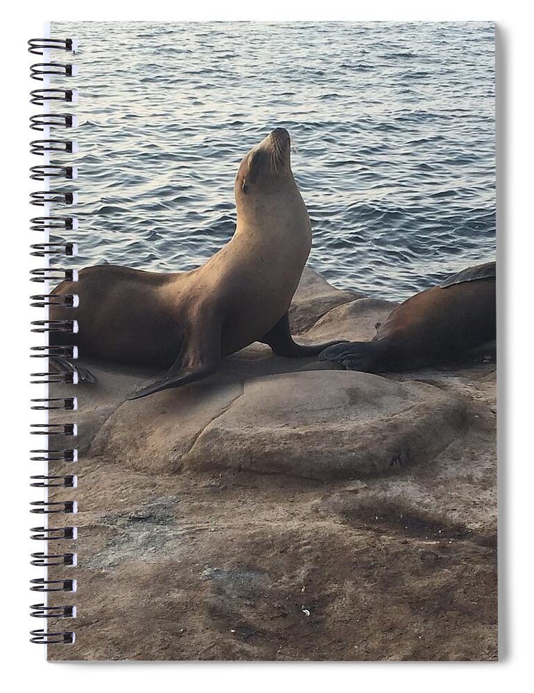 Seal Spiral Notebook featuring the photograph Strike a Pose by Lisa White