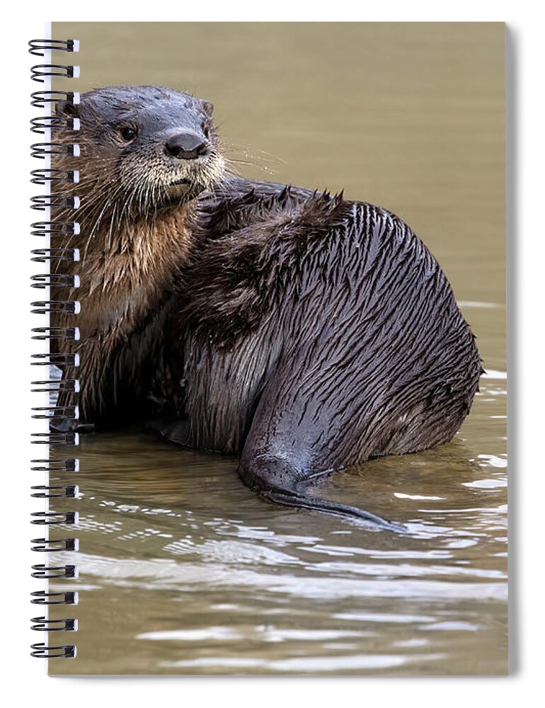 Otter Spiral Notebook featuring the photograph Striking a Pose by Art Cole