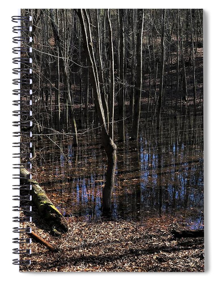 Swamp Spiral Notebook featuring the photograph Striped Swamp by Ed Williams