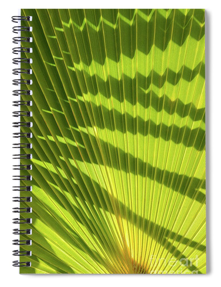 Palm Leaf Spiral Notebook featuring the photograph Structure of green palm leaf with shadows 2 by Adriana Mueller