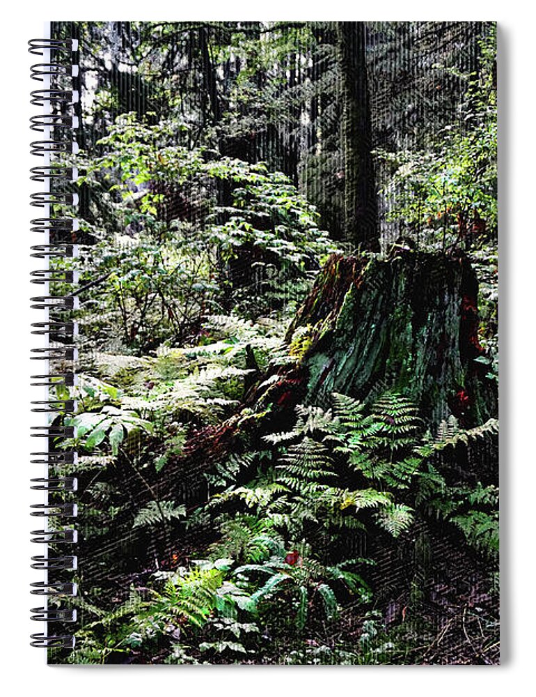 Forest Spiral Notebook featuring the digital art Stump and Fern by Deb Nakano