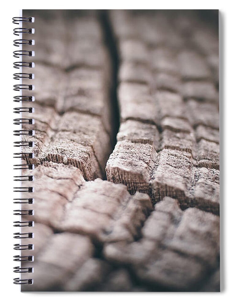 Tree Spiral Notebook featuring the photograph Stumped by Kevin Schwalbe