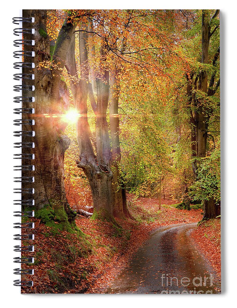 Autumn Spiral Notebook featuring the photograph Stunning autumn forest road at sunrise in Norfolk by Simon Bratt