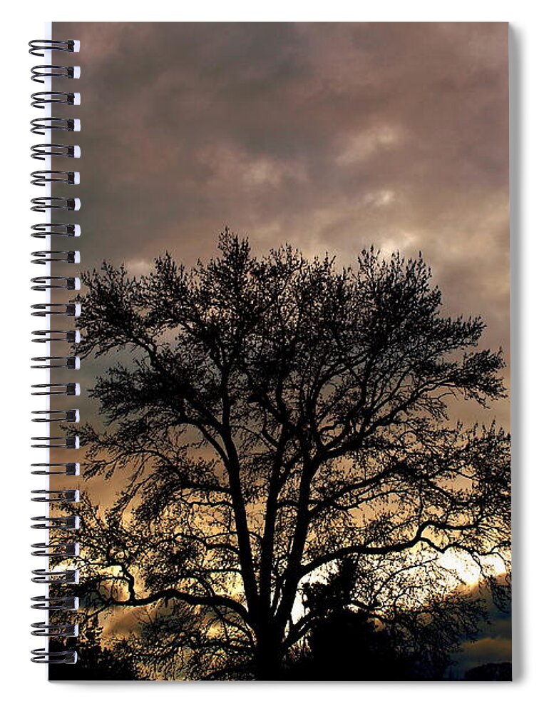 Landscape Spiral Notebook featuring the photograph Landscape Print #8 by Jacob Folger