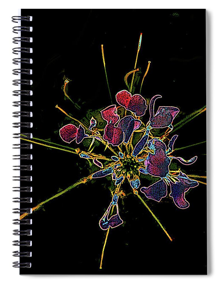 Digital Spiral Notebook featuring the digital art Stylized Cleome by Mariarosa Rockefeller