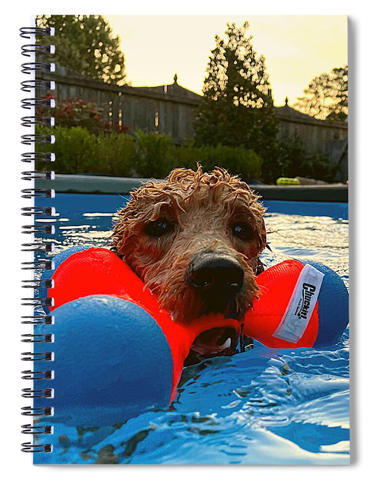 Goldendoodle Spiral Notebook featuring the photograph Suburban Aqua Fetch by Lee Darnell