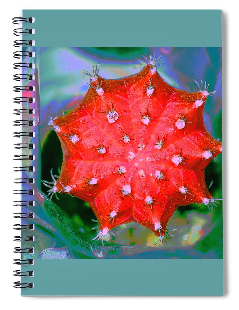 Succulent Spiral Notebook featuring the digital art Succulent Enneagram by Larry Beat