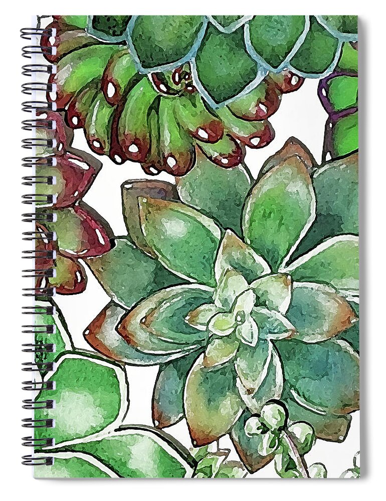 Succulent Spiral Notebook featuring the painting Succulent Plants On White Wall Contemporary Garden Design X by Irina Sztukowski