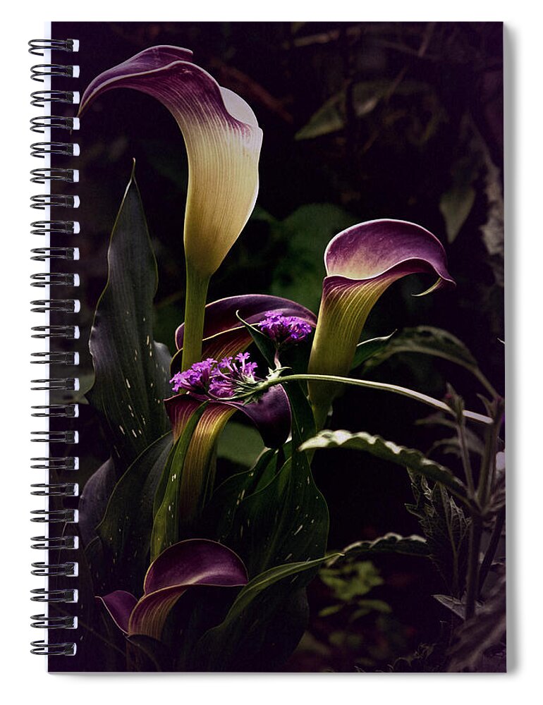 Summer Spiral Notebook featuring the photograph Summer 2022 Calla by Richard Cummings