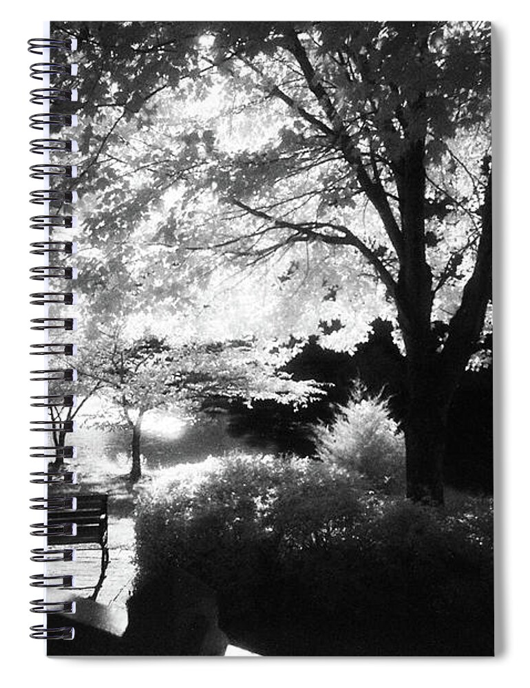 Infrared Black And White Spiral Notebook featuring the photograph Summer at Quiet Waters No.7 - Infrared Black and White Film Photograph by Steve Ember