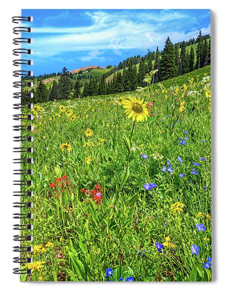 Crested Butte Spiral Notebook featuring the photograph Summer Beauty by Lynn Bauer