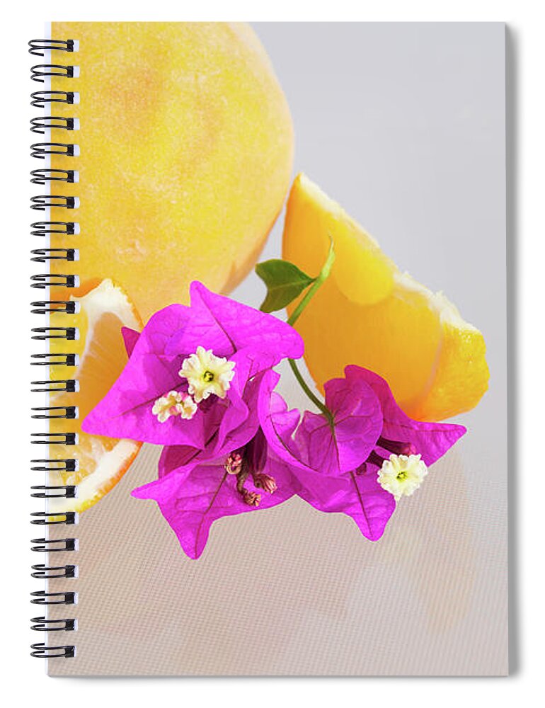 Peachy Spiral Notebook featuring the photograph Summer dream. Peach, orange and pink flowers by Adriana Mueller