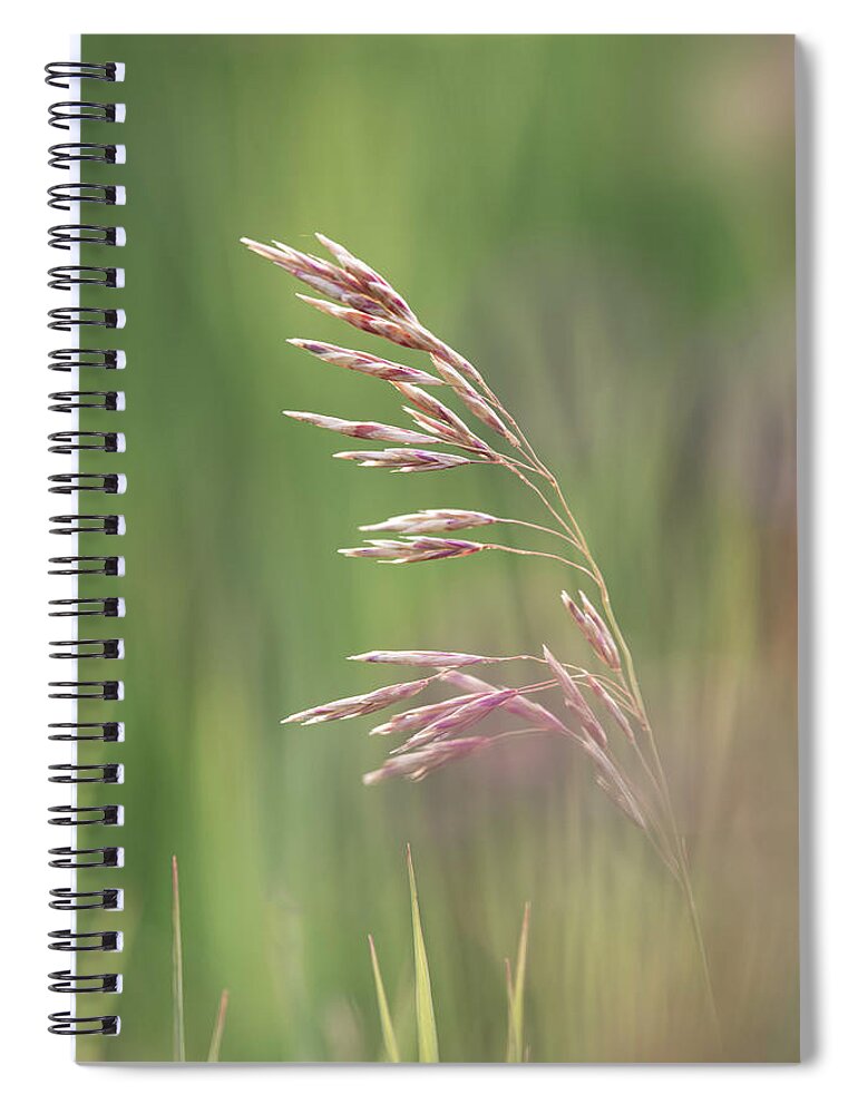 Agriculture Spiral Notebook featuring the photograph Summer hay seeds by Phil And Karen Rispin