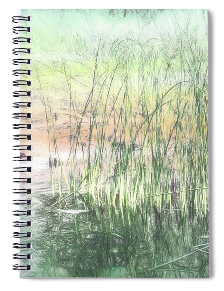 Lake Spiral Notebook featuring the digital art Summer Lake Reeds by Jean OKeeffe Macro Abundance Art