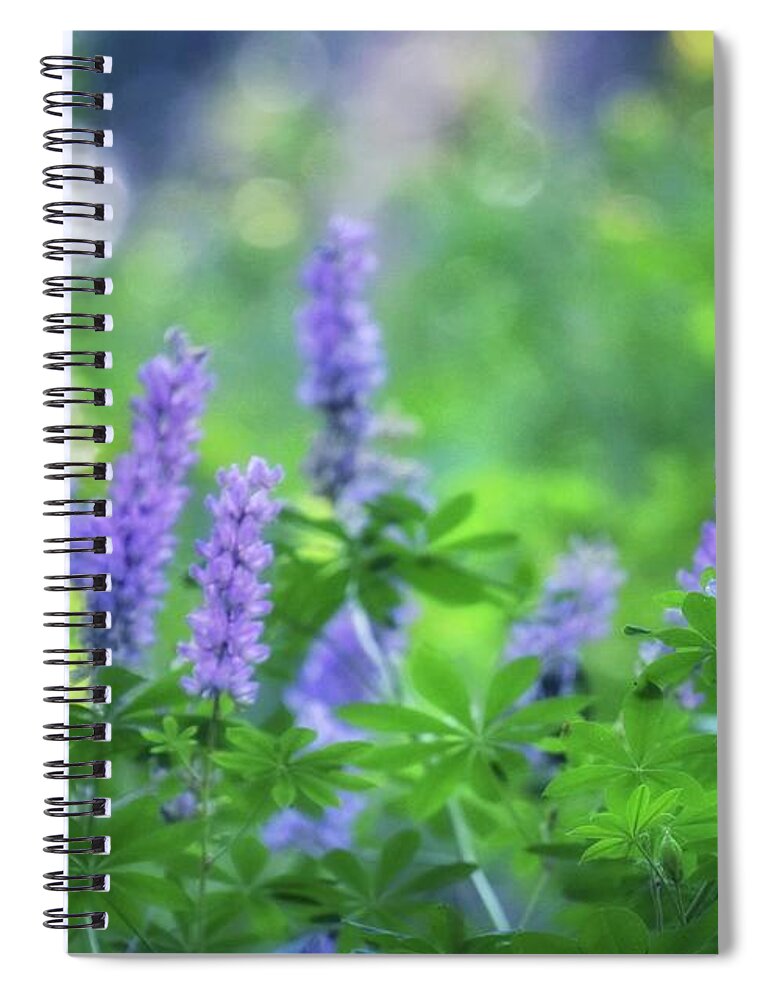 Lupin Spiral Notebook featuring the photograph Summer Lupine by Steph Gabler