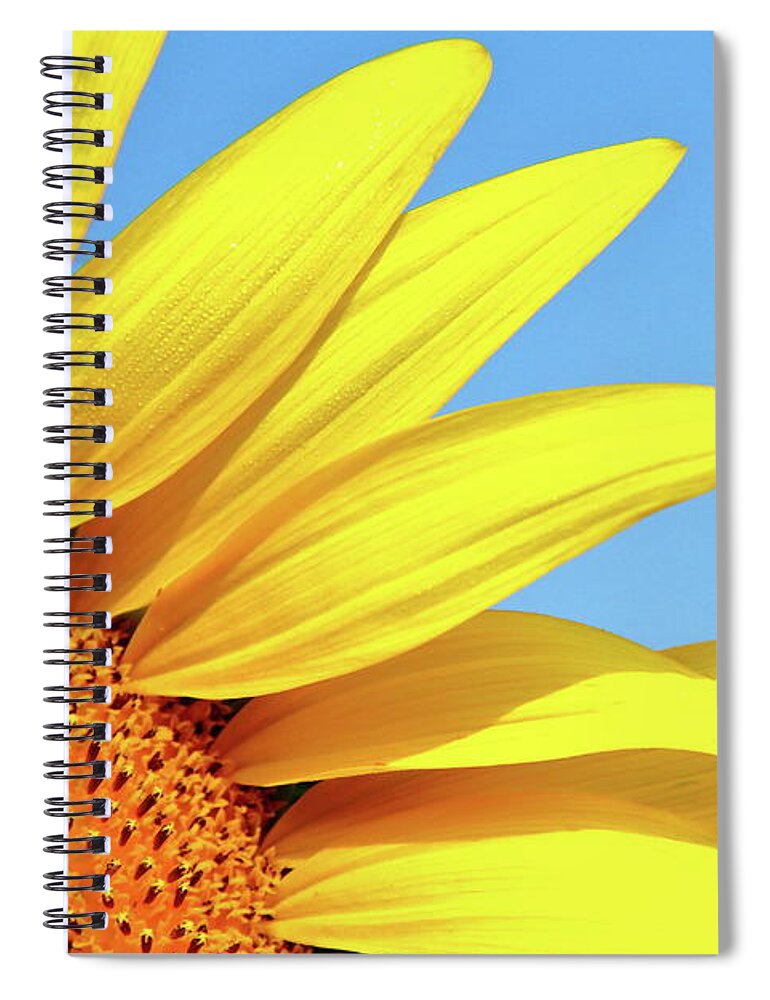 Sunflower Spiral Notebook featuring the photograph Summer Shunshine by Lens Art Photography By Larry Trager
