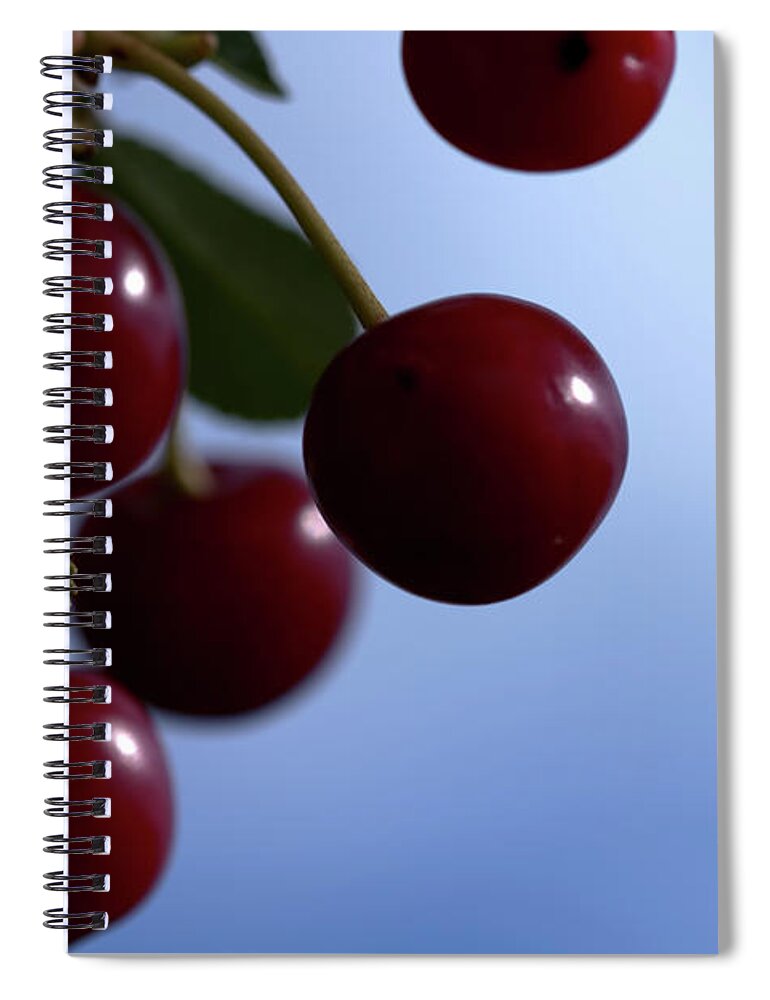 Nature Spiral Notebook featuring the photograph Summer Wild Cherry by Stephen Melia