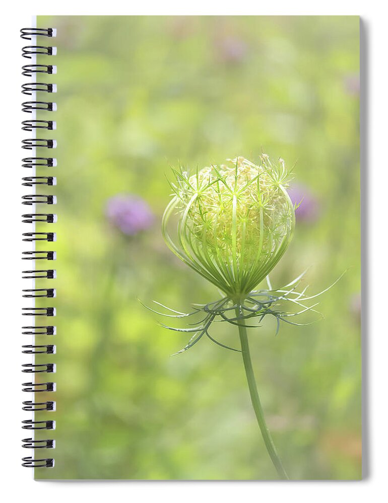 Summertime Spiral Notebook featuring the photograph Summertime Garden by Sylvia Goldkranz