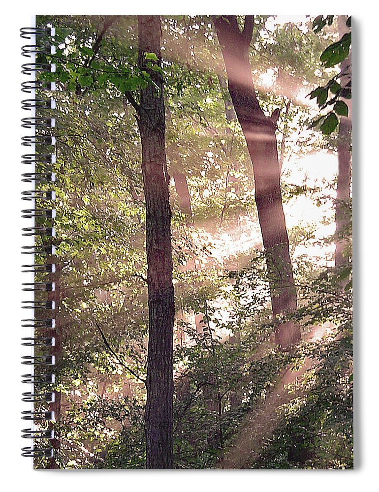 Trees Spiral Notebook featuring the digital art Sun Rays in Virginia by Nancy Olivia Hoffmann
