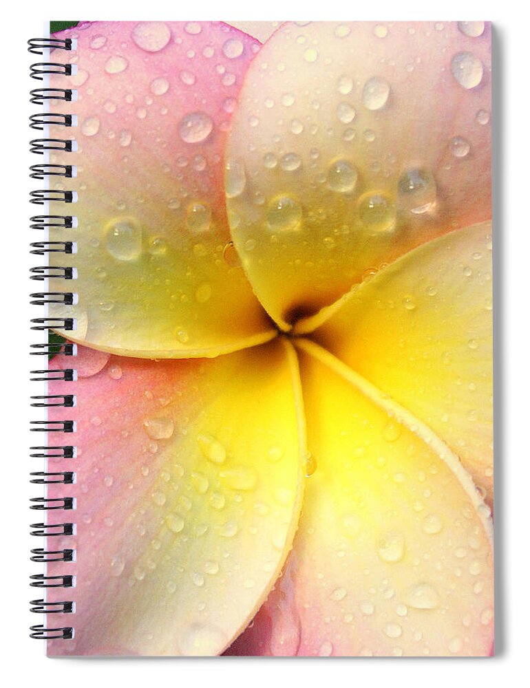 Frangapani Spiral Notebook featuring the photograph Sun Shower by Holly Kempe