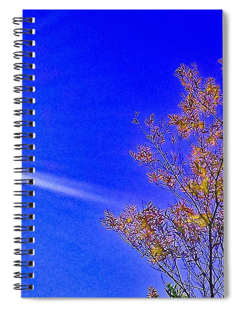 Sky Spiral Notebook featuring the photograph Sun Tree by Andrew Lawrence