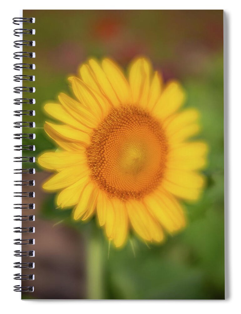 2020 Spiral Notebook featuring the photograph Sunflower-1 by Charles Hite