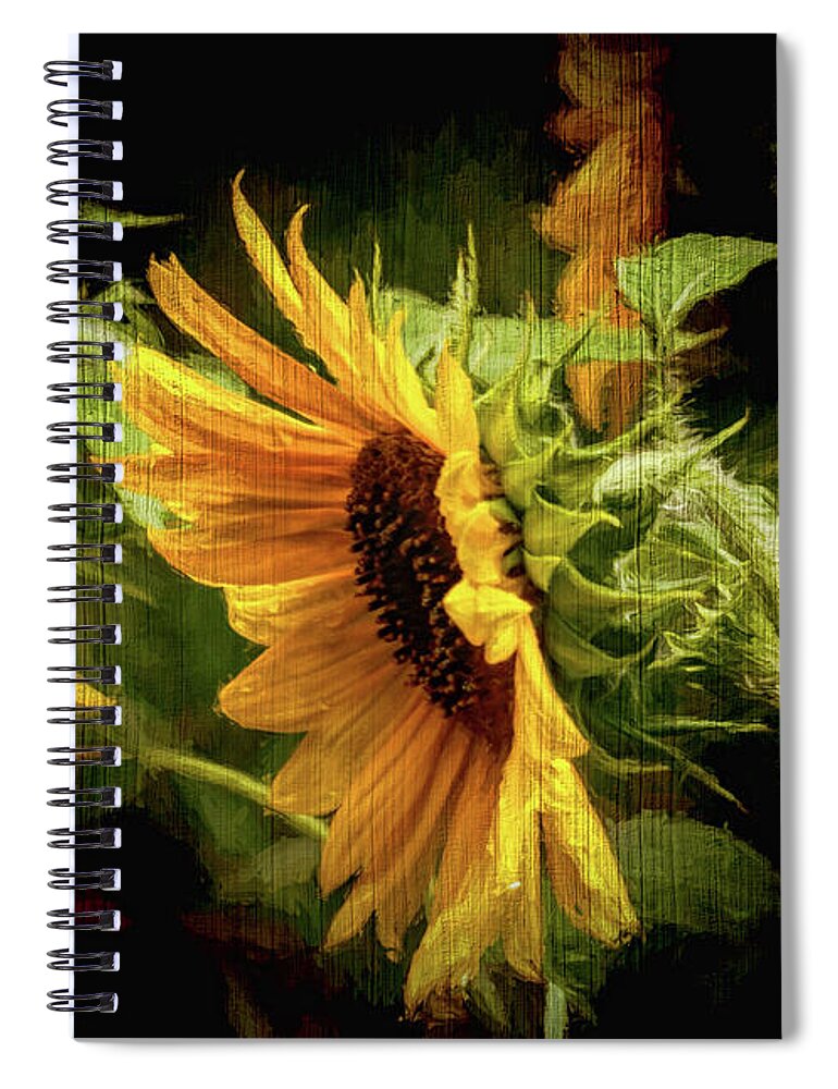 Sunflower Spiral Notebook featuring the photograph Sunflower Drama by Ola Allen