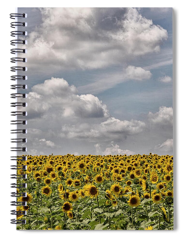 Sunflowers Spiral Notebook featuring the photograph Sunflower Fields by Erika Fawcett