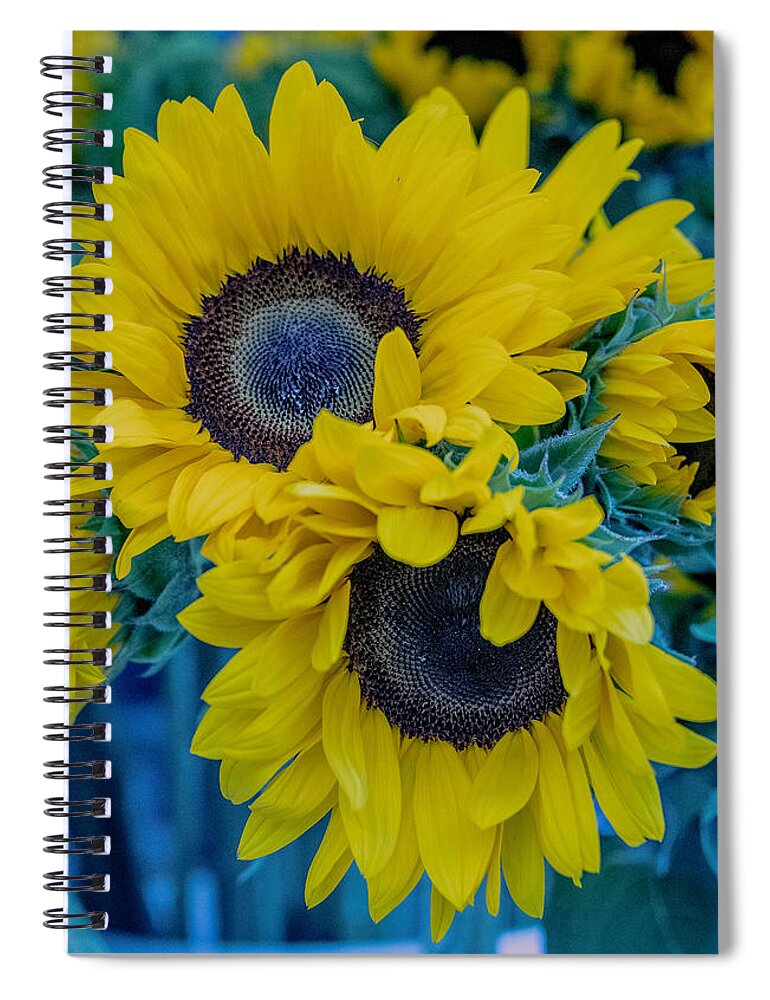 Flowers Spiral Notebook featuring the photograph Sunflower by Patricia Dennis