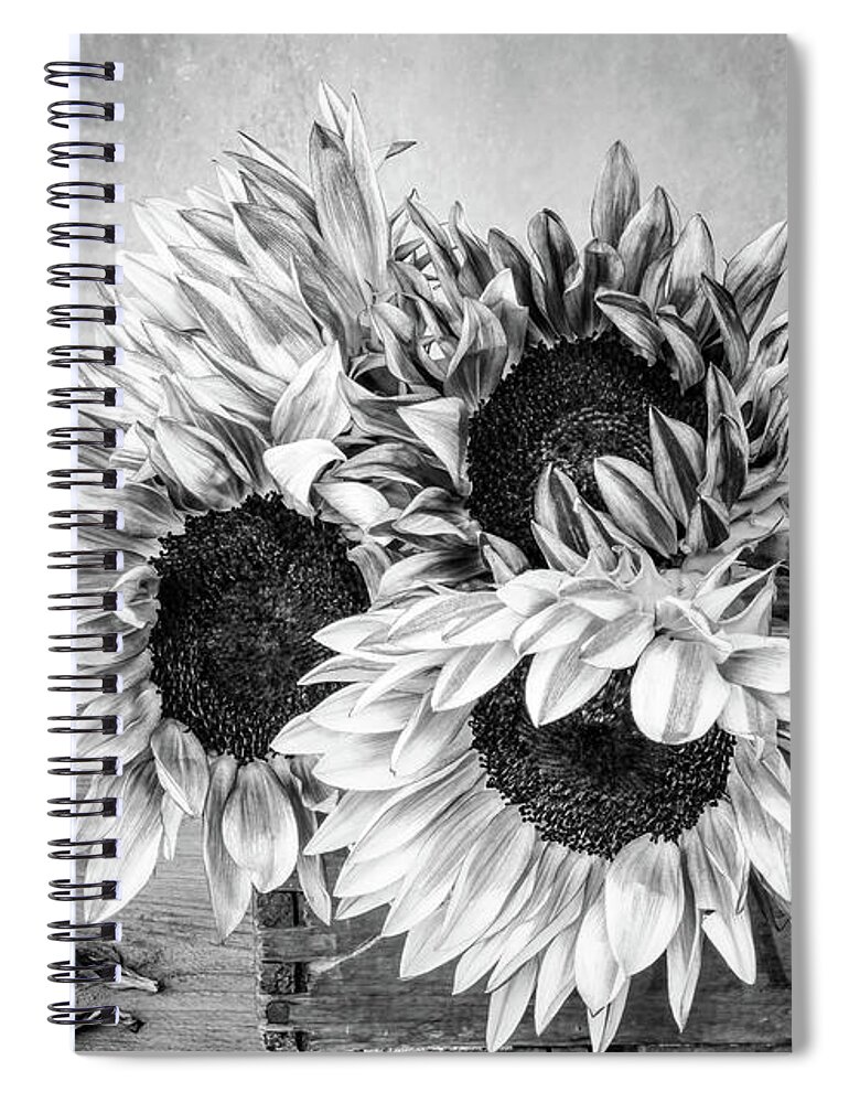 Sunflowers Spiral Notebook featuring the photograph Sunflowers and Crate 1 by Connie Carr