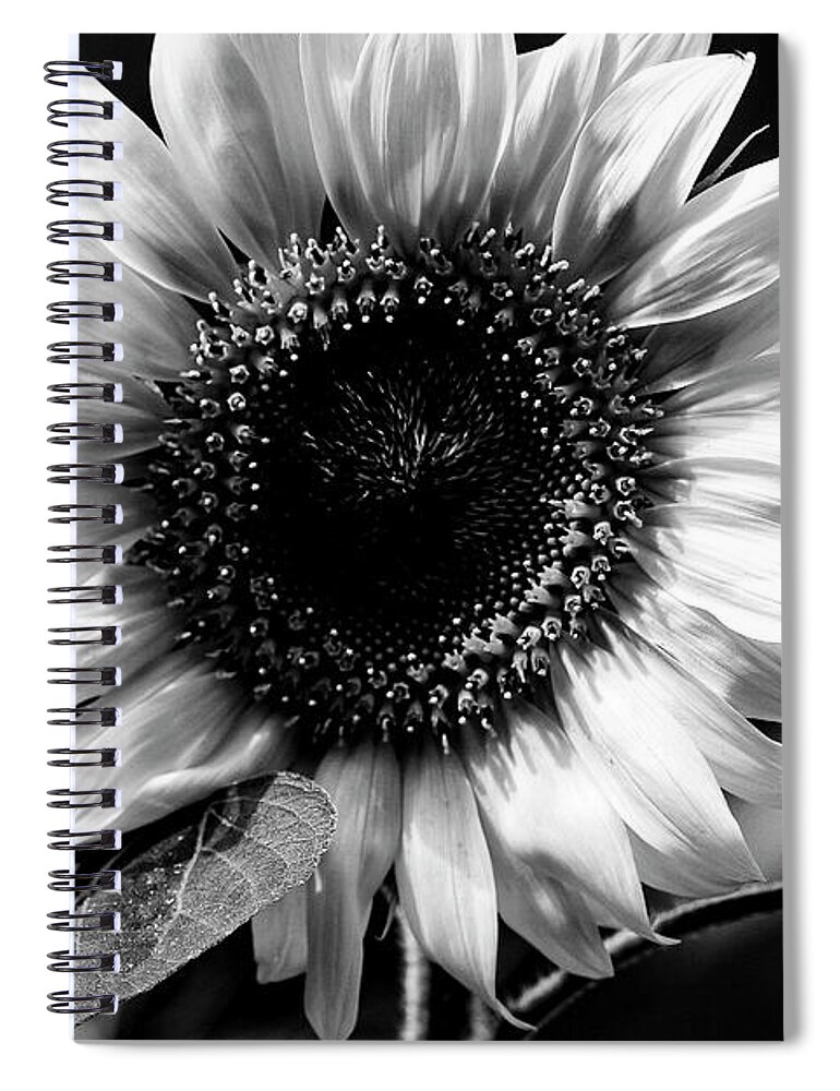 Italy Spiral Notebook featuring the photograph Sunflowers Italy by John F Tsumas