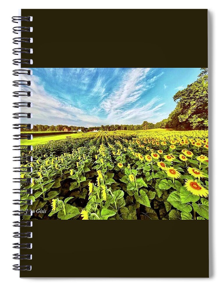  Spiral Notebook featuring the photograph Sunflowers by John Gisis