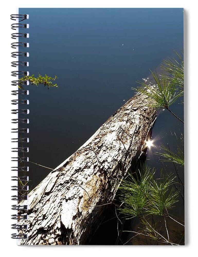 Tree Spiral Notebook featuring the photograph Sunk by Ed Williams