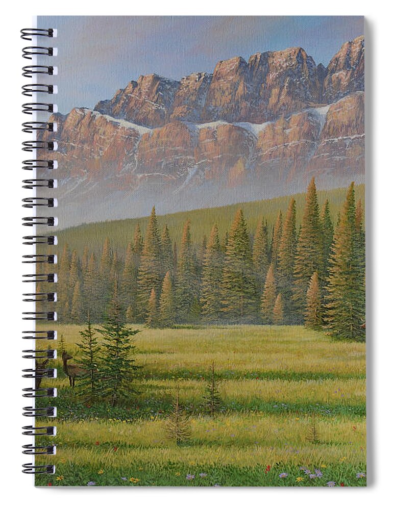 Canadian Spiral Notebook featuring the painting Sunlight and Shadow by Jake Vandenbrink
