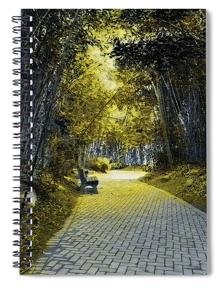 Bench Spiral Notebook featuring the mixed media Sunlit Path through the Bamboo by Bentley Davis