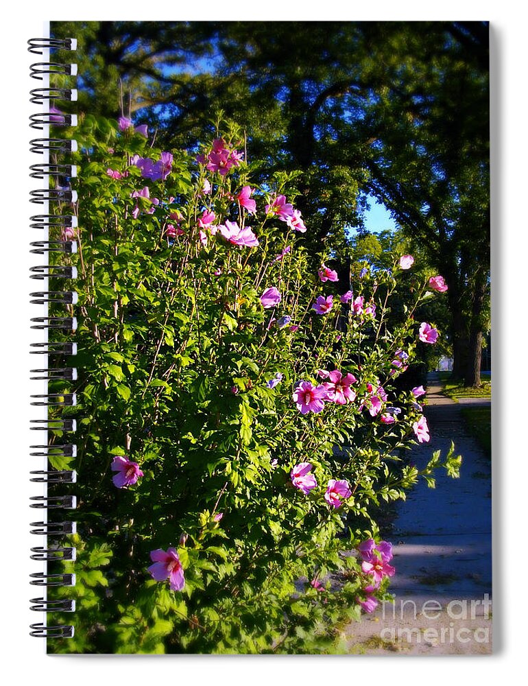 Nature Spiral Notebook featuring the photograph Sunlit Pink Flowers by Frank J Casella