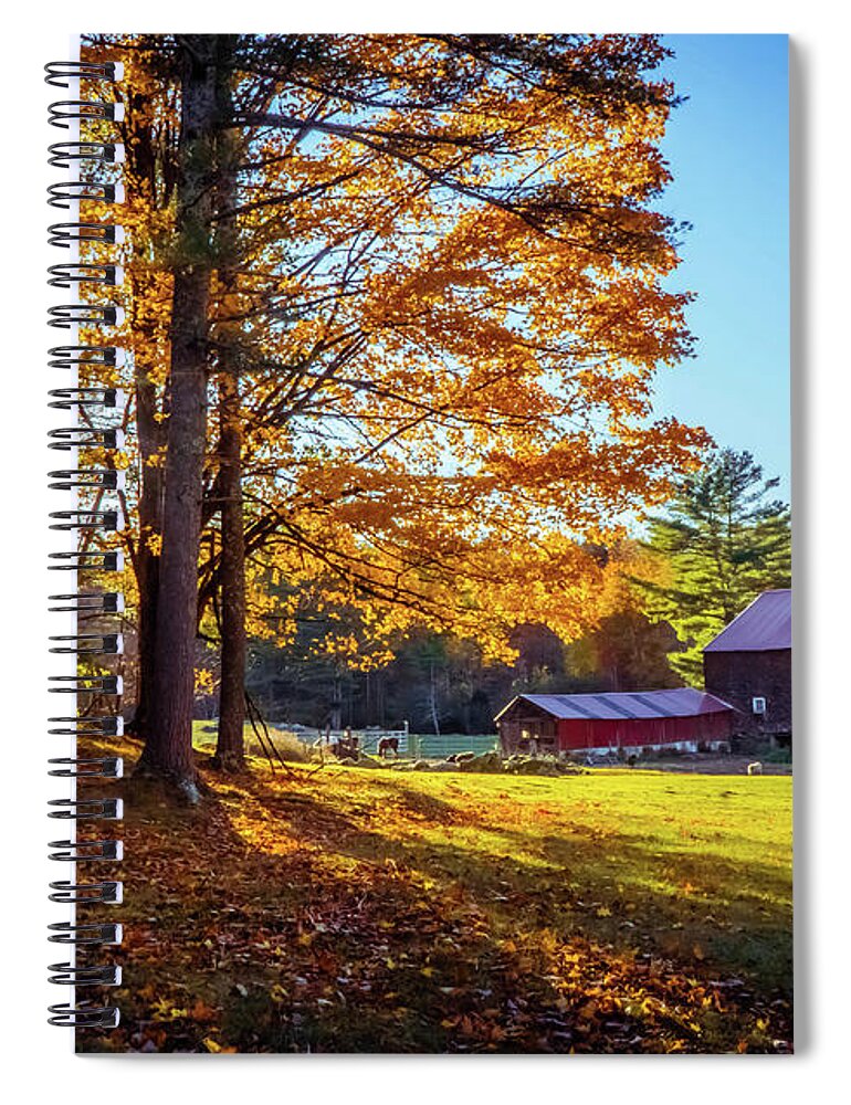 Sunny Farm Spiral Notebook featuring the photograph Sunny farm by Lilia S