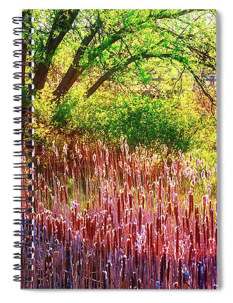 Sunny Morning Spiral Notebook featuring the photograph Sunny morning in the park by Tatiana Travelways
