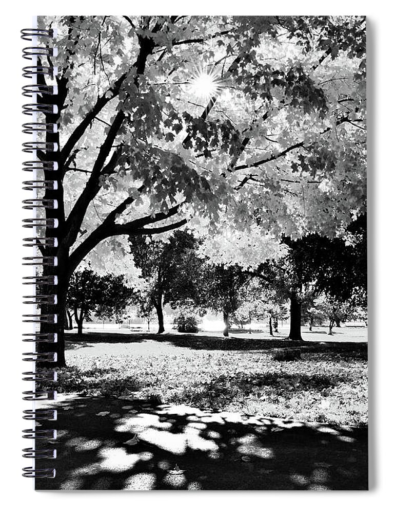 Park Spiral Notebook featuring the photograph Sunny October by Susie Loechler