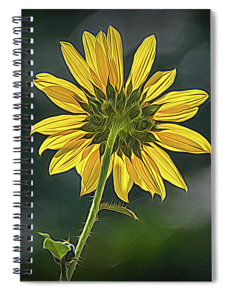Bloom Spiral Notebook featuring the photograph Sunny Sunflower Following the Sun With Enhancements by Debra Martz