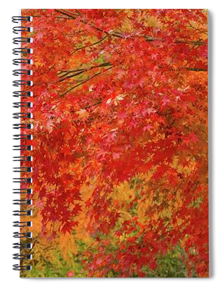 Garden Spiral Notebook featuring the photograph Sunnylea Autumn by Marilyn Cornwell