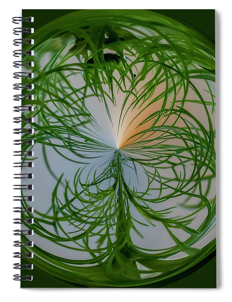Orb Spiral Notebook featuring the photograph Sunrise by Cathy Kovarik