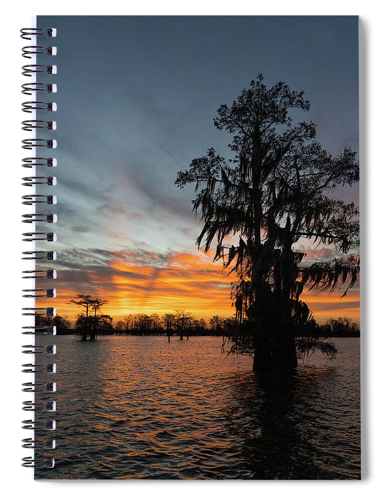 Sunrise Spiral Notebook featuring the photograph Sunrise in the Swamp 2 by Tim Stanley