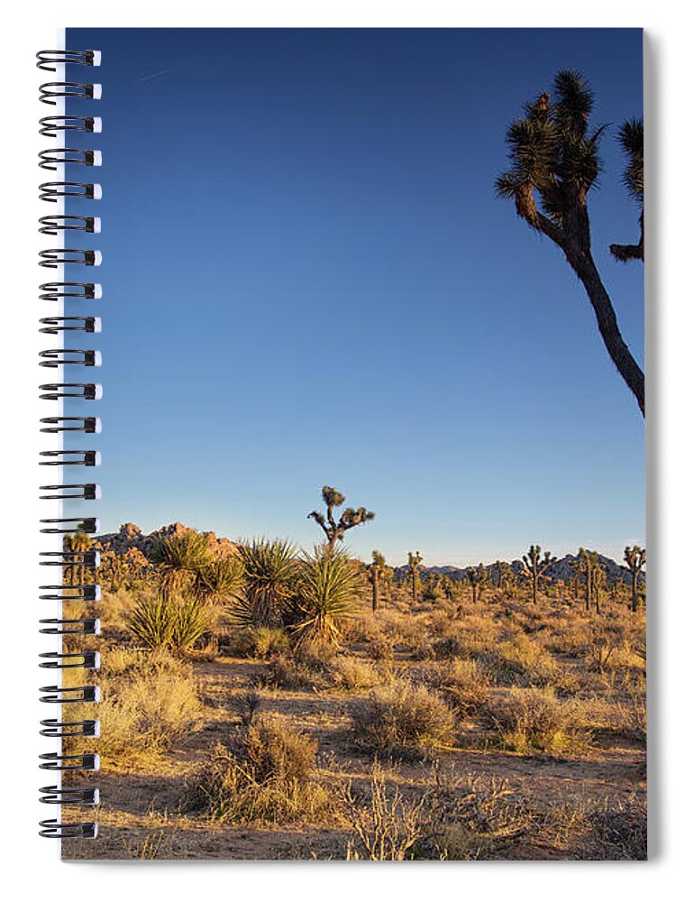 Joshua Tree National Park Sunset Spiral Notebook featuring the photograph Sunset along boy scout trail by Kunal Mehra