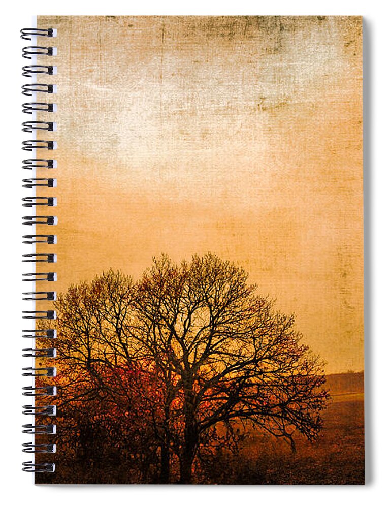 Nature Spiral Notebook featuring the photograph Sunset beauty by Yasmina Baggili